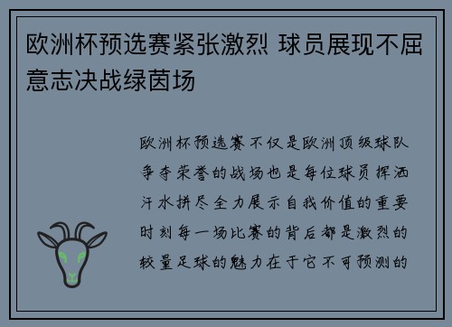 欧洲杯预选赛紧张激烈 球员展现不屈意志决战绿茵场