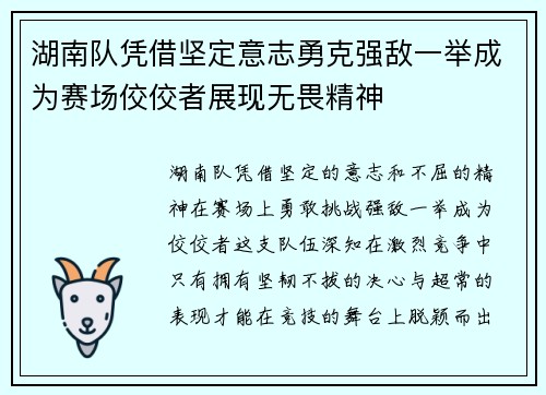 湖南队凭借坚定意志勇克强敌一举成为赛场佼佼者展现无畏精神